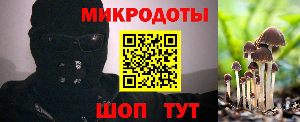 Псилоцибиновые грибы Magic Shrooms  Вход с VPN  Каспийск 